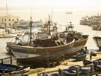 Fishing boats in the yard