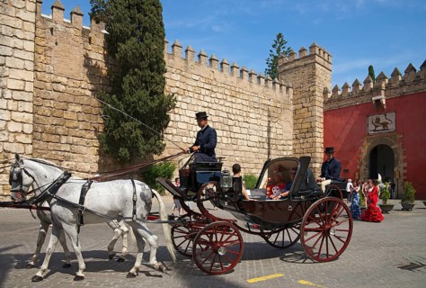 Carriage at the Plaza del Triunfo