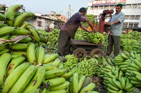 Banana sellers and workers weighing bananas on Broadway Market