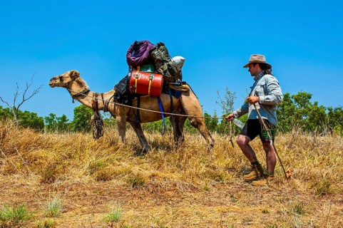 Walker with his camel crossing the outback