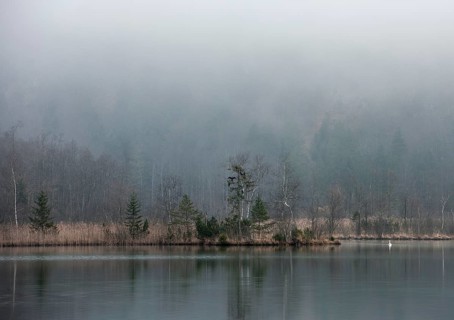 Foggy atmosphere on Almsee lake