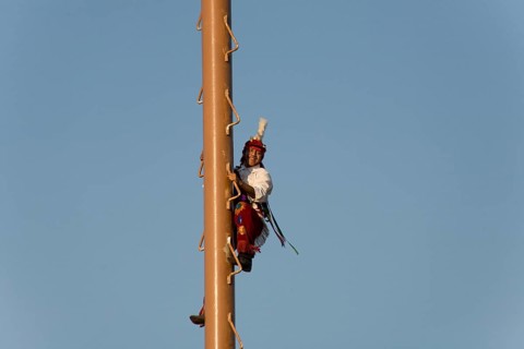 Volador climbed the palo volador mast