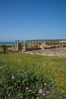 Roman ruins of Baelo Claudia near Bolonia