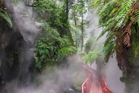 Steaming hot springs in the gorge of the Termas Geometricas