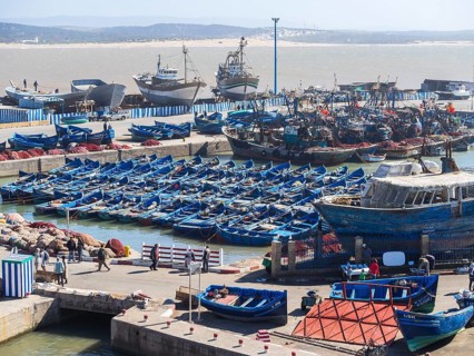 Fishing boats in the port of Essaouira