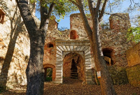 Burgruine Landsee castle ruins