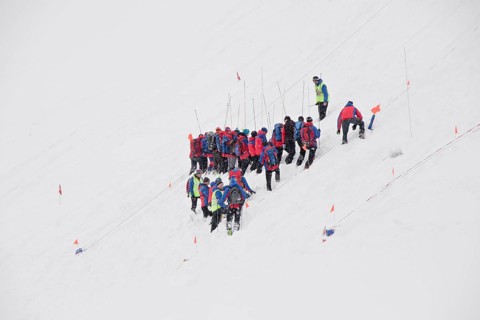 Search party