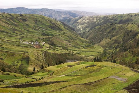 Fields in the mountains