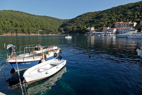 Boats in the harbour