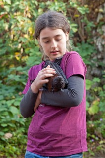 Girl with Fruit Bat (Pteropodidae)
