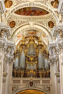 Organ