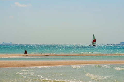 Sailboat on sparkling sea