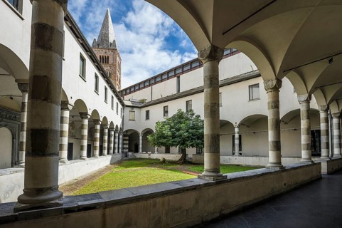Courtyard with fig tree
