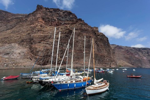 Fishing boats in the harbour