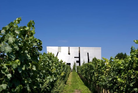 Loisium Wine Experience and vineyard