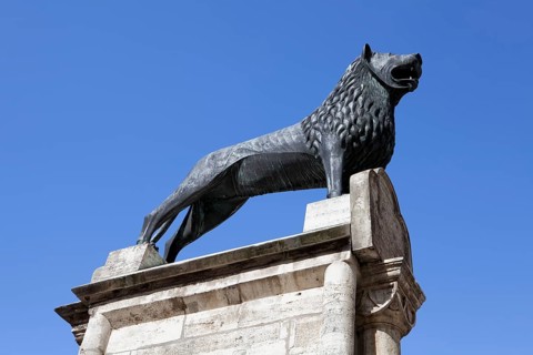 Brunswick Lion on the Burgplatz square