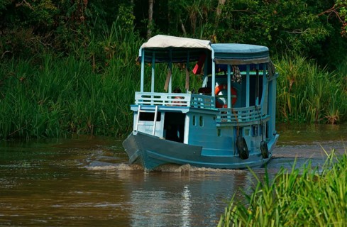 Tourist boat in Tanjung Puting National Park