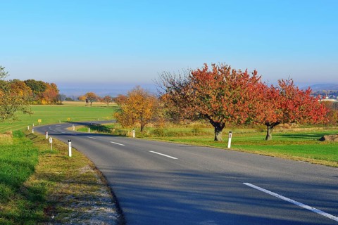 Autumn mood along the Burgenland Wine Road