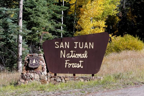San Juan National Forest sign at Wolf Creek Pass