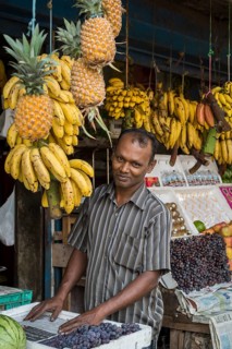 Fruit merchant