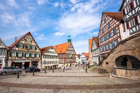 Half-timbered houses