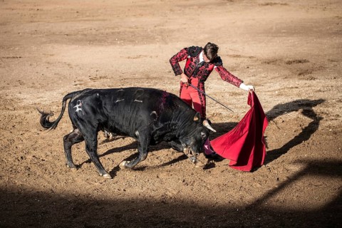 Bullfighter performing a ""Veronica""
