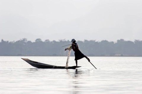 Fisherman