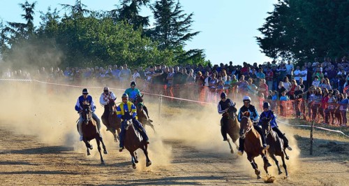 Wild horse race without saddle at the Su Palu de Sa Itria Gavoi festival
