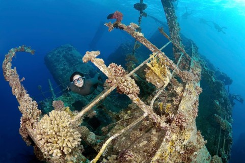 Freediver diving the Gianis D wreck