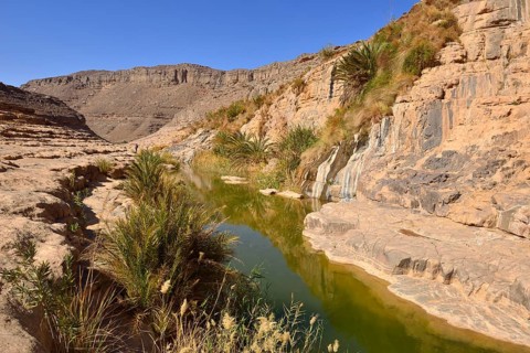 Water in a guelta at Idaran Canyon