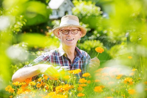 Gardener