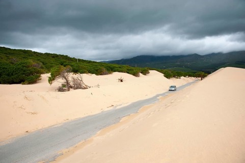Wandering dune of Bolonia