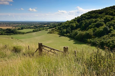 Oxfordshire countryside seen from White Horse Hill