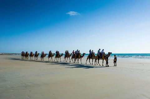 Tourists riding on camels on Cable Beach