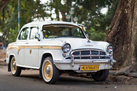White Ambassador
