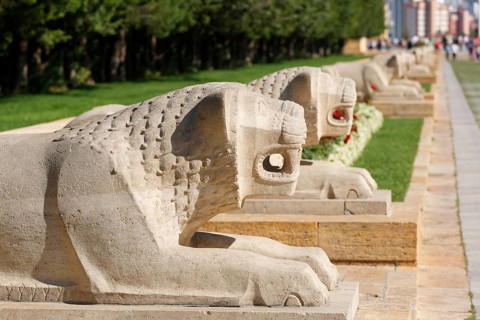Lions Road