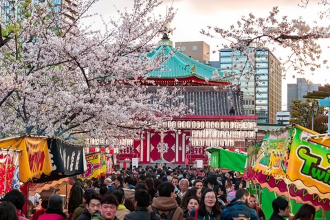 Crowd at Shinobazunoike Bentendo Temple at Hanami Fest