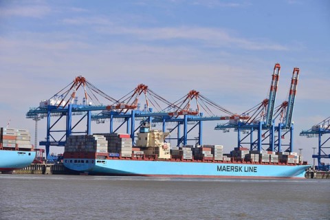 Container ship and gantry cranes