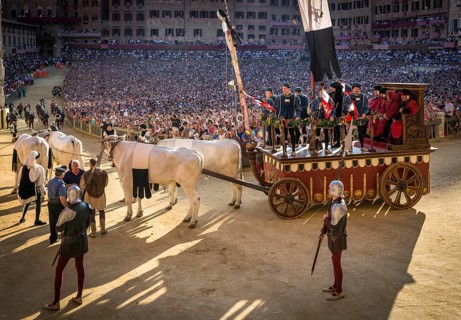 Bull carriage at the historical parade before the Palio di Siena horse race