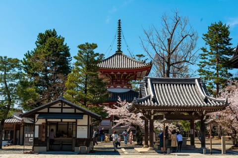Pagoda Amidado
