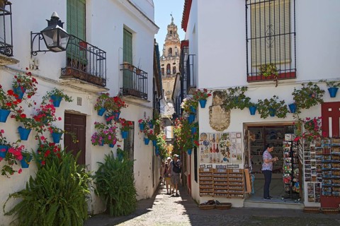 Calle de las Flores with flowers