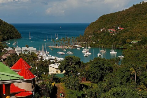 Boats in the harbour
