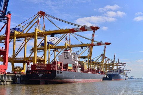 Container ship and gantry cranes