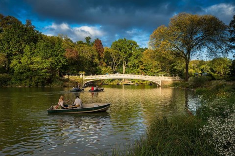 Rowing Boats on The Lake