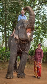 Tourist riding an elephant and mahout or elephant guide