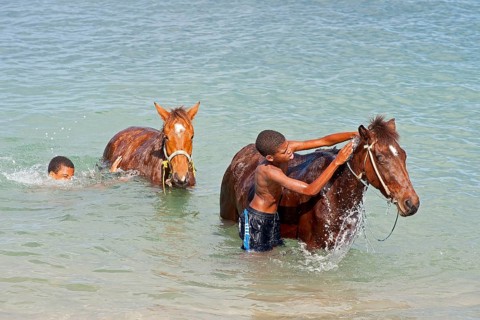 Two boys bathing horses