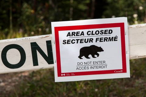 Warning sign of bears