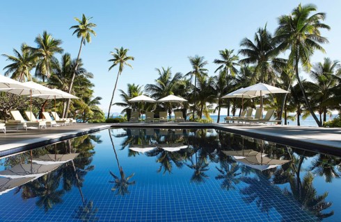 Sun loungers and parasols by a pool under palm trees