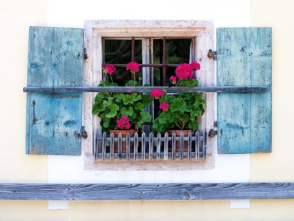 Window with geraniums