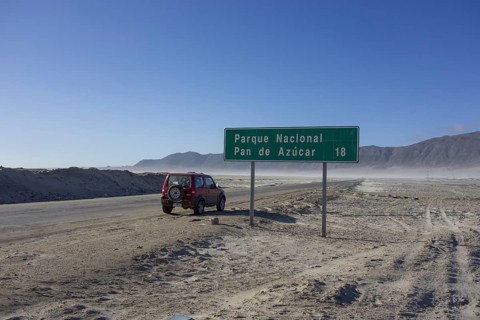 Journey to Pan de Azucar National Park